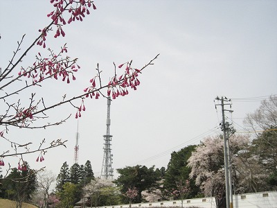 e0106372_1244196.jpg