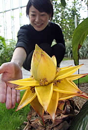 f0013182_1530033.jpg