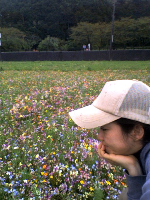 f0016783_0334523.jpg