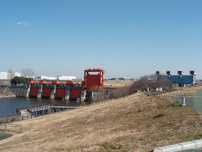 c0105785_856691.jpg