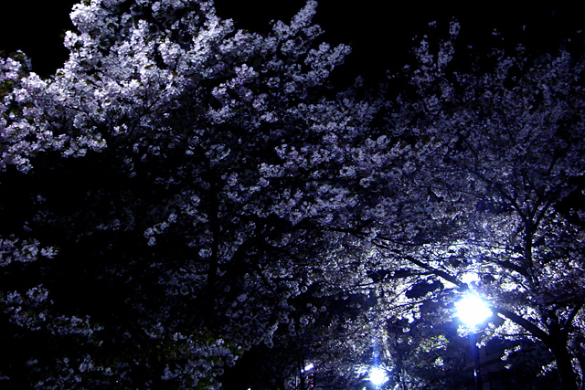 b0067789_2134229.jpg