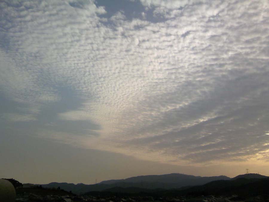 d0140490_1347347.jpg