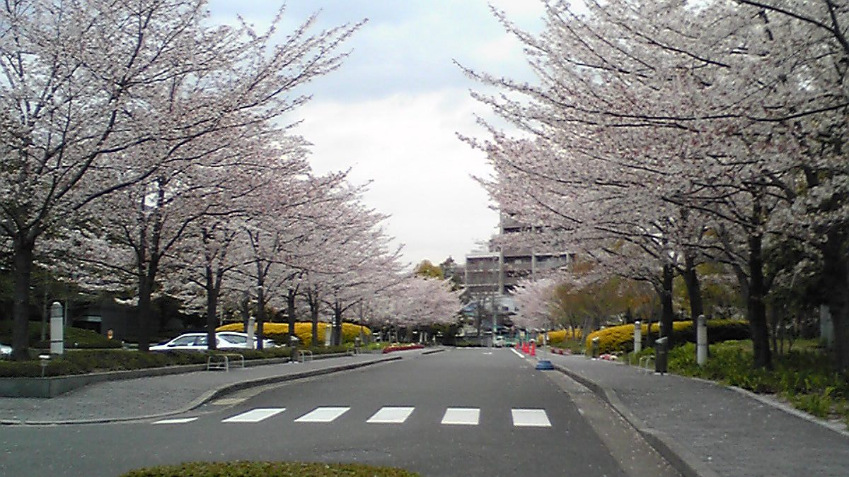 c0042491_13353732.jpg