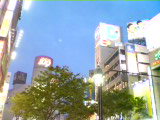 a0103293_003082.jpg