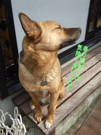 b0087400_01135100.jpg