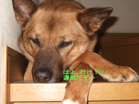 b0087400_0301091.jpg