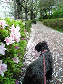 c0037701_23203364.jpg