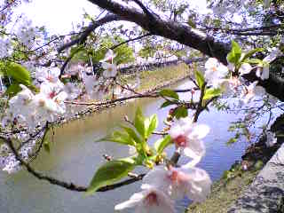 c0037701_23211425.jpg