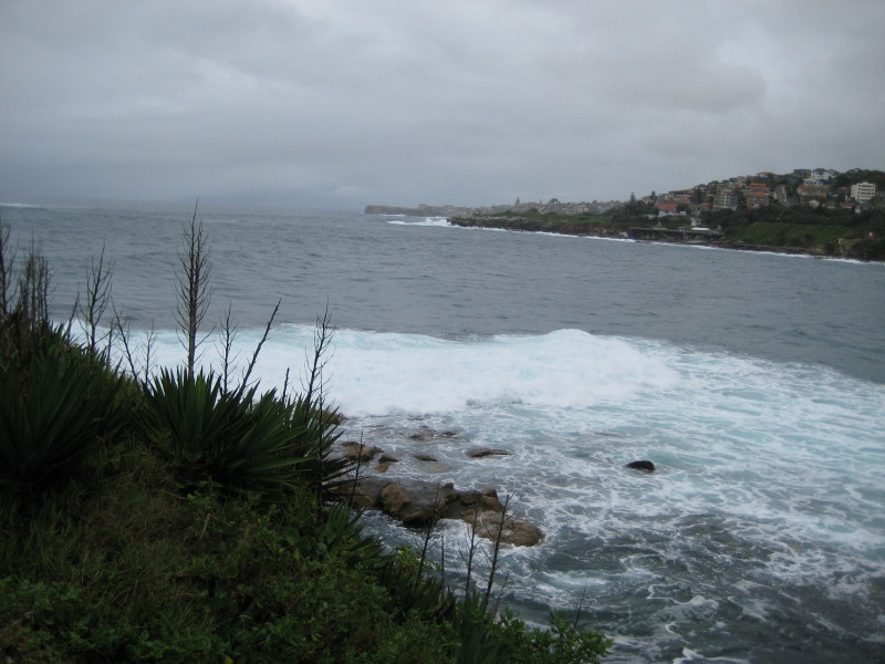 b0129705_0144084.jpg