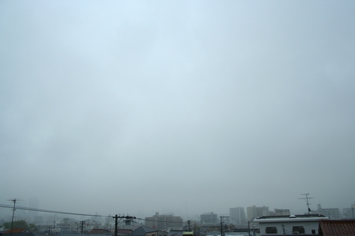 d0131006_22543073.jpg
