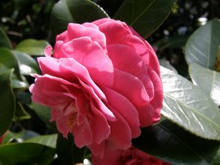 b0061107_23324186.jpg