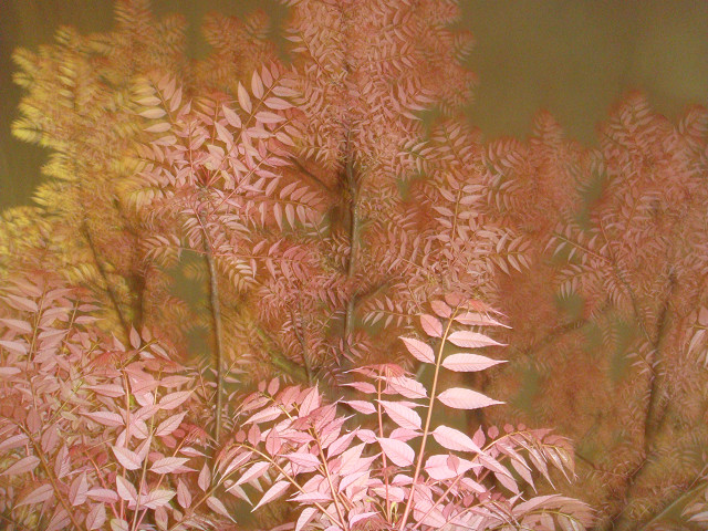c0150214_2040538.jpg