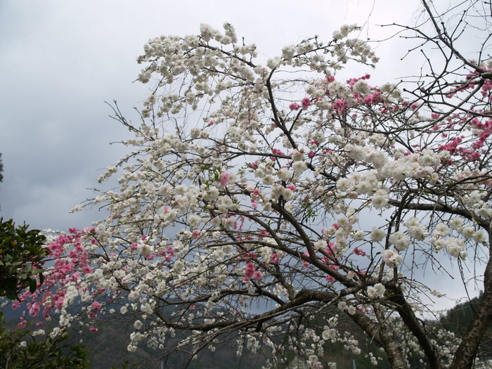 c0116915_23104045.jpg