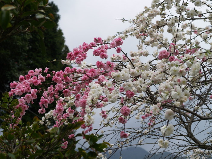 c0116915_236247.jpg