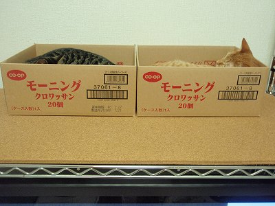 c0145016_1825426.jpg