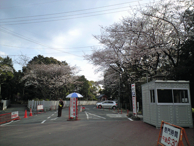 b0075318_22211535.gif