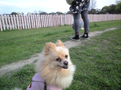 b0075318_2228162.gif