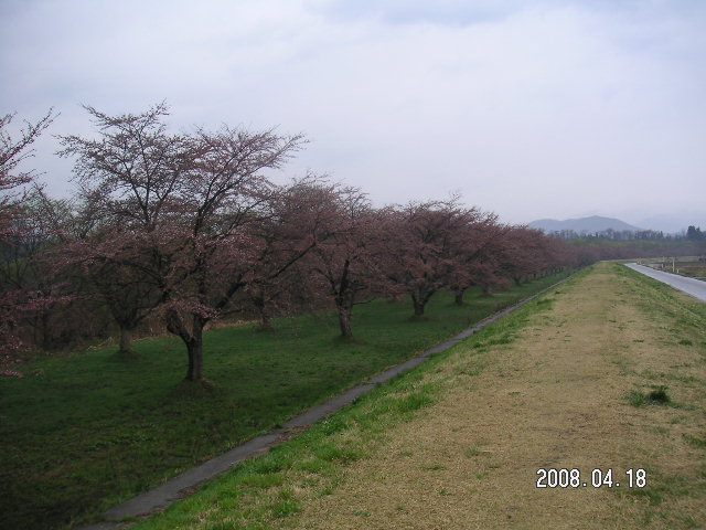 a0020929_18581531.jpg