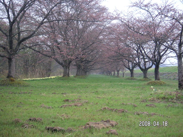 a0020929_18595944.jpg