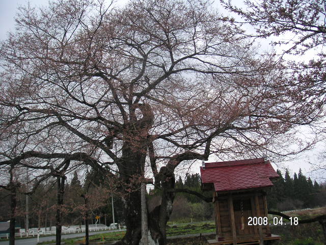 a0020929_195263.jpg