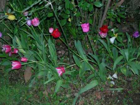 d0037729_0511071.jpg