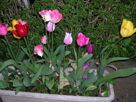d0037729_0515760.jpg