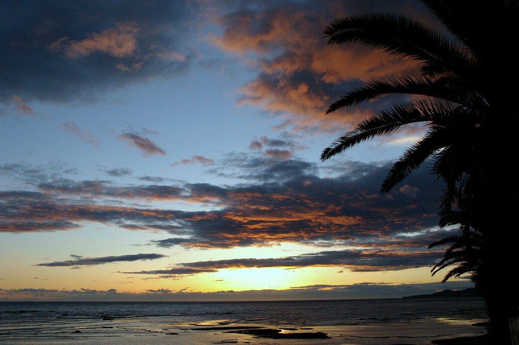 c0106831_2331167.jpg