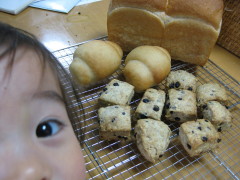f0060733_20322827.jpg