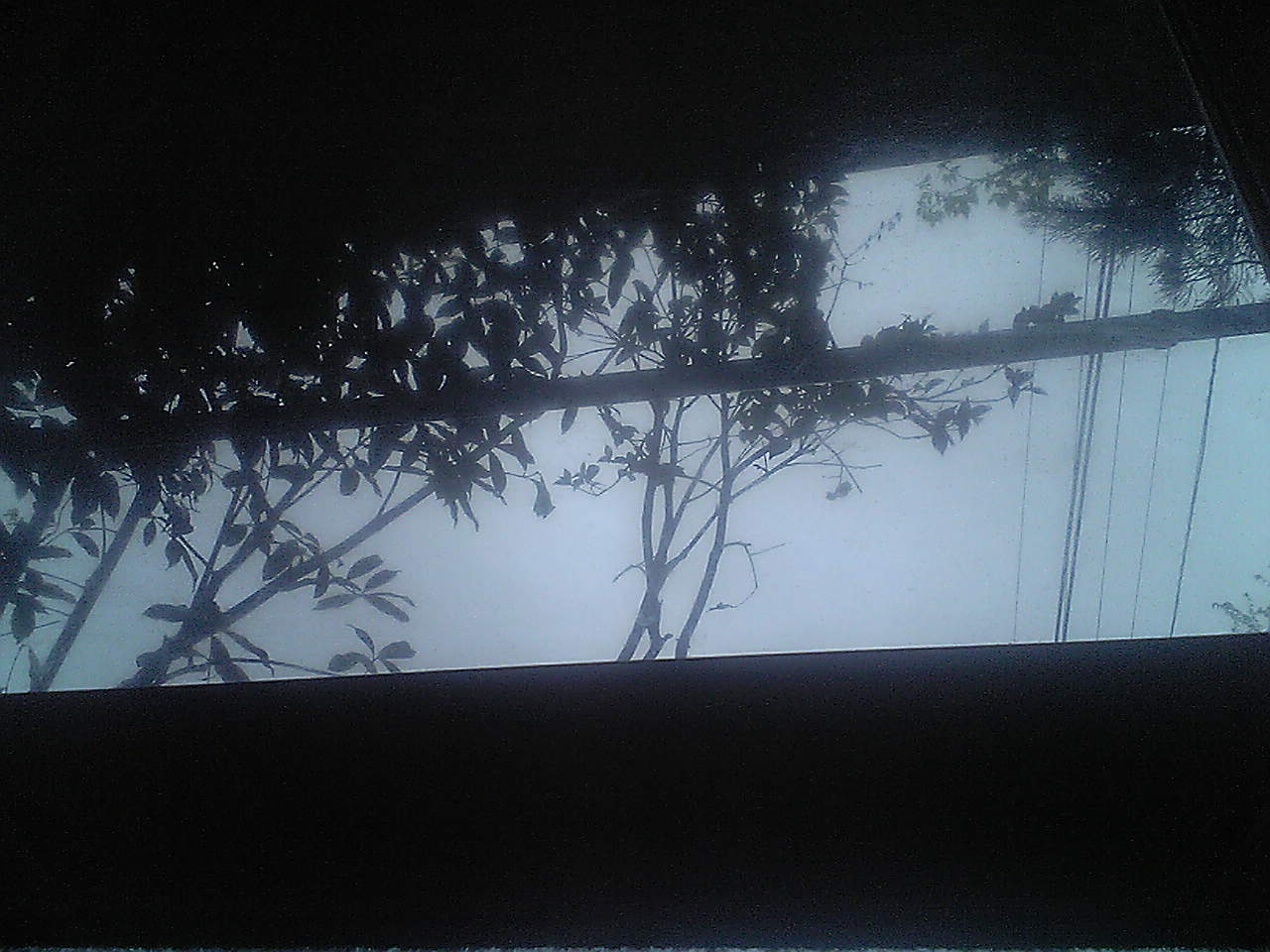 c0152037_12155094.jpg