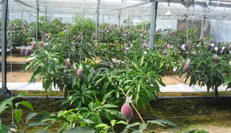 f0042737_2259572.jpg