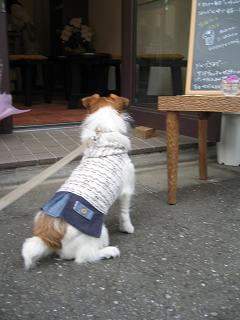 c0156345_17601.jpg