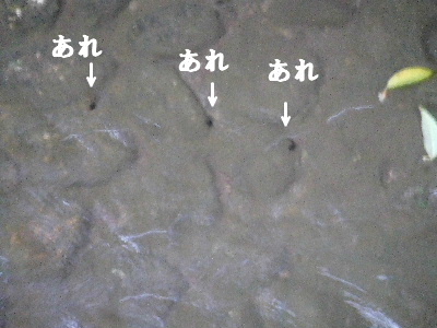 e0121548_2135619.jpg