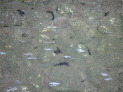 e0121548_2152791.jpg