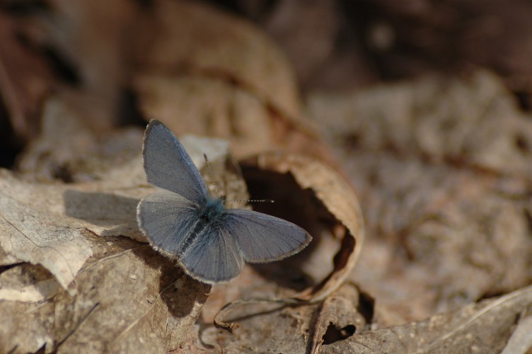 d0098057_4503723.jpg