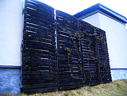 c0051759_1031452.jpg