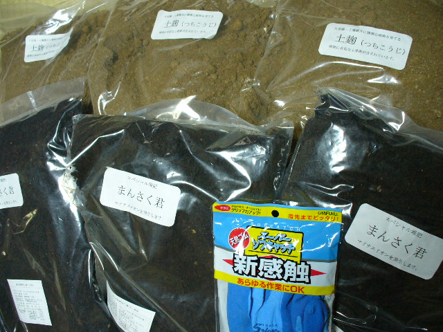 f0074659_2336887.jpg