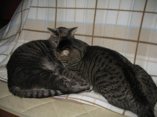 e0057361_13341251.jpg