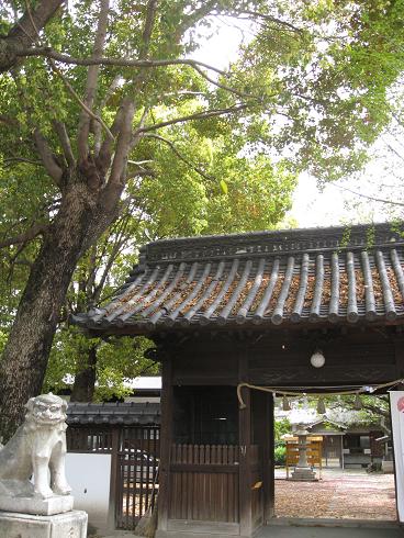 f0146466_202675.jpg