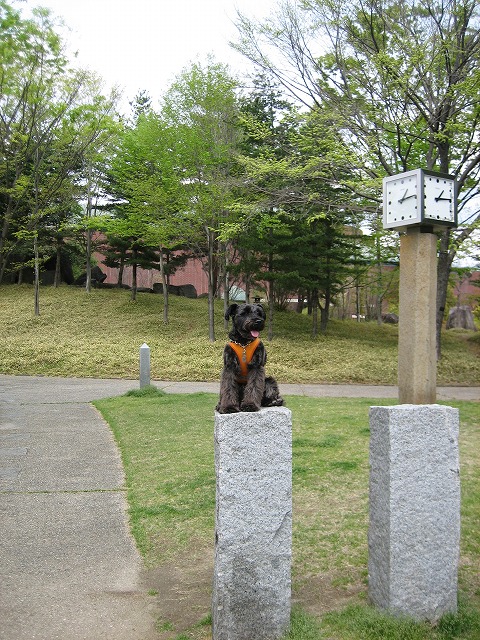 a0104569_21125638.jpg
