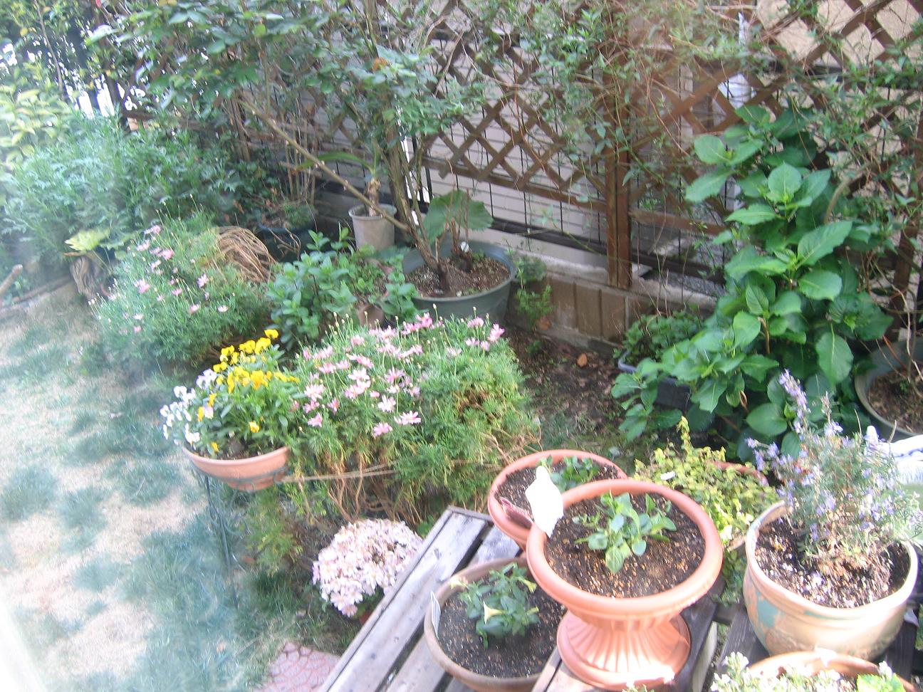 e0123576_853160.jpg
