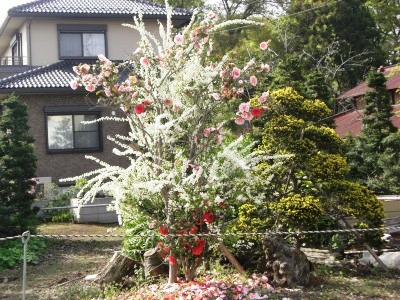 c0078480_18112615.jpg