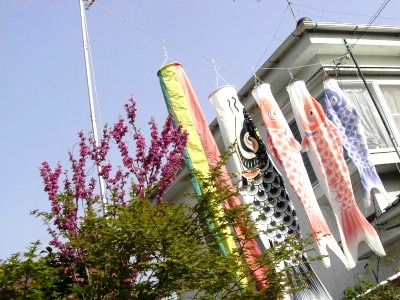 c0078480_18191794.jpg