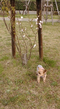 f0004180_11114978.jpg
