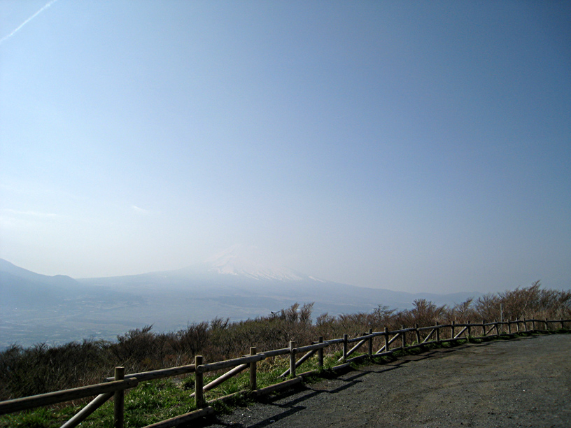 b0034284_1461555.jpg