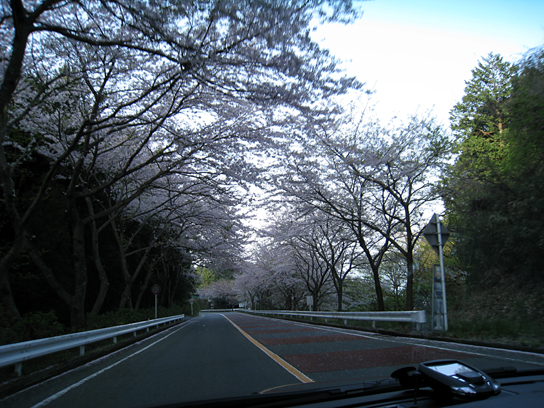 b0034284_15985.jpg