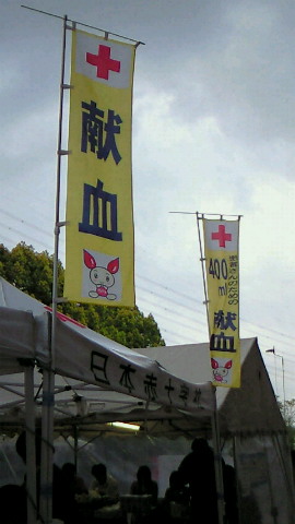 c0149290_33894.jpg
