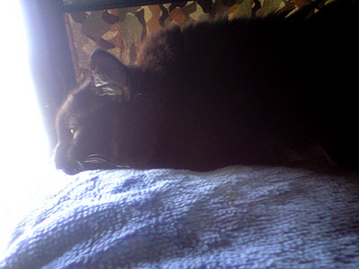 e0019594_8122040.jpg