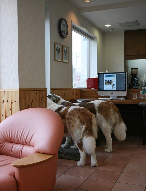 f0001895_2014433.jpg