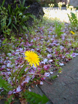 c0129498_11341467.jpg