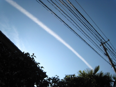 c0129498_11342588.jpg